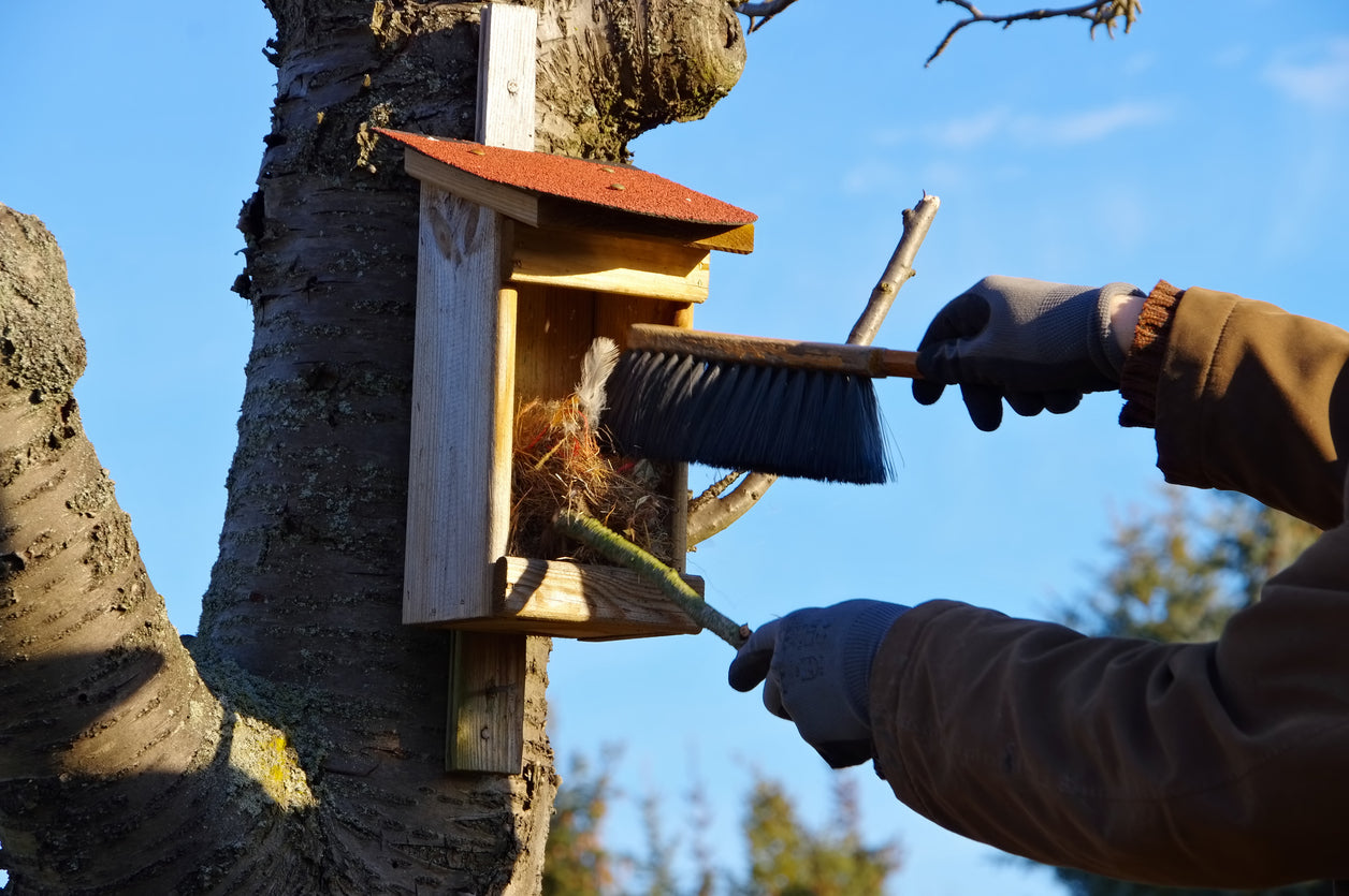 CLEANING & MAINTAINING NEST BOXES