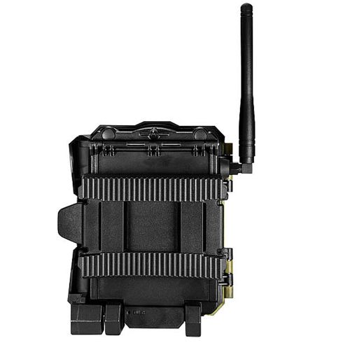 SpyPoint Link Dark (4G)