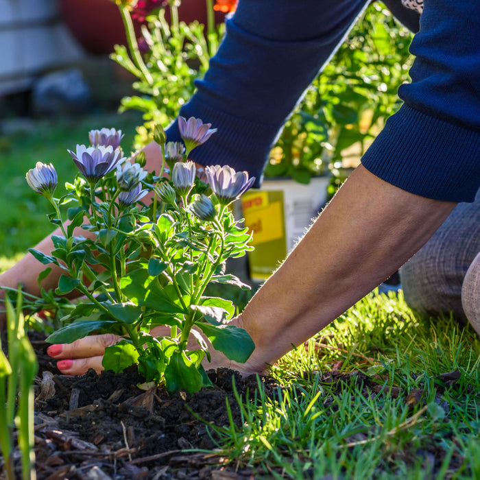 GARDENING FOR WILDLIFE