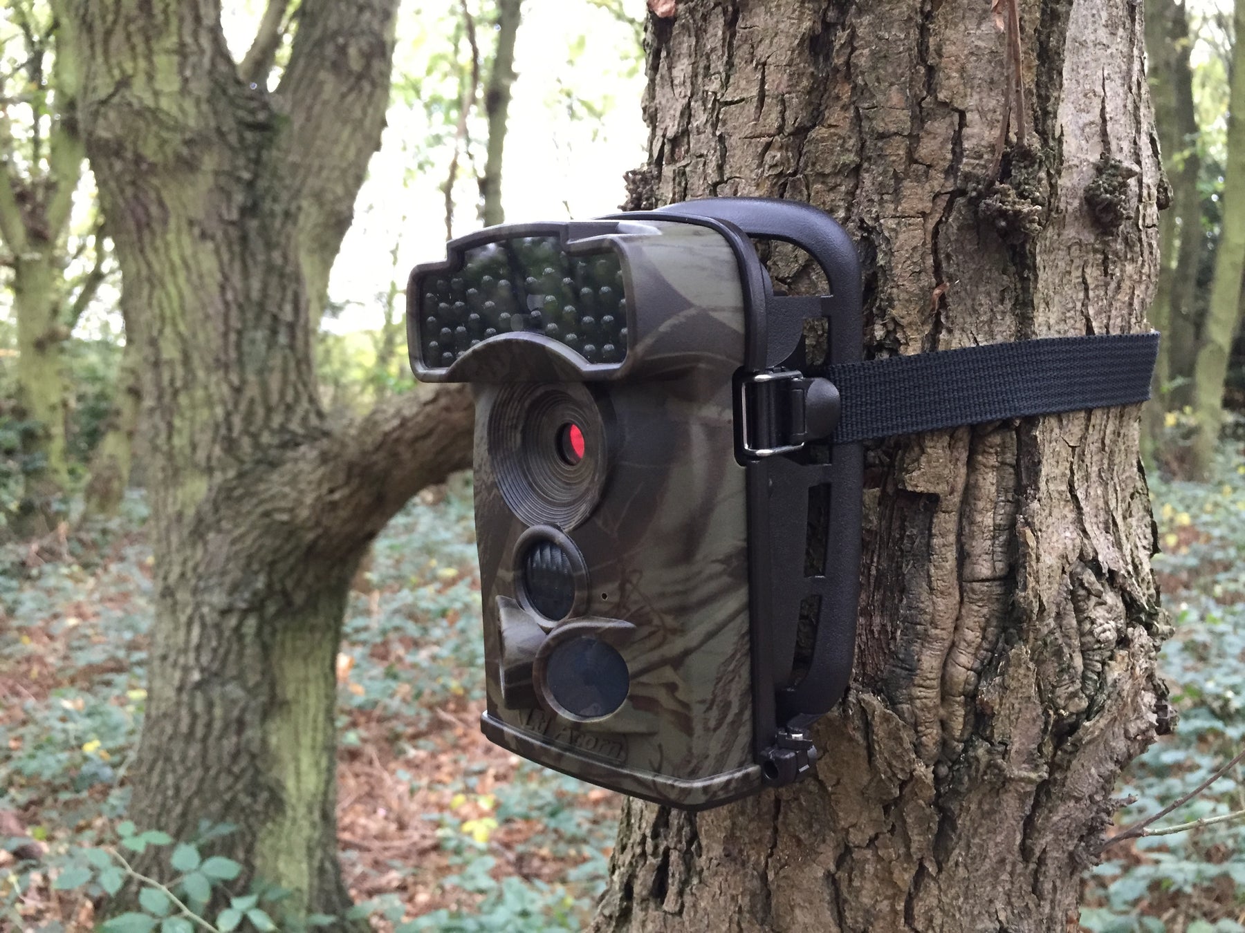 POWERING LTL ACORN CAMERAS