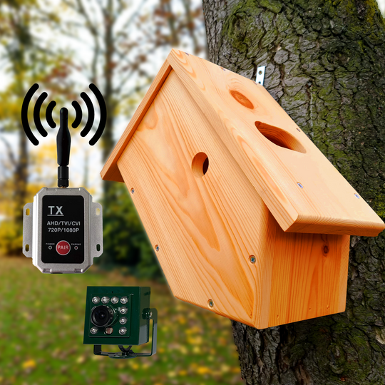 Bird Feeder Bird Box With Camera Argos Wireless Transmission