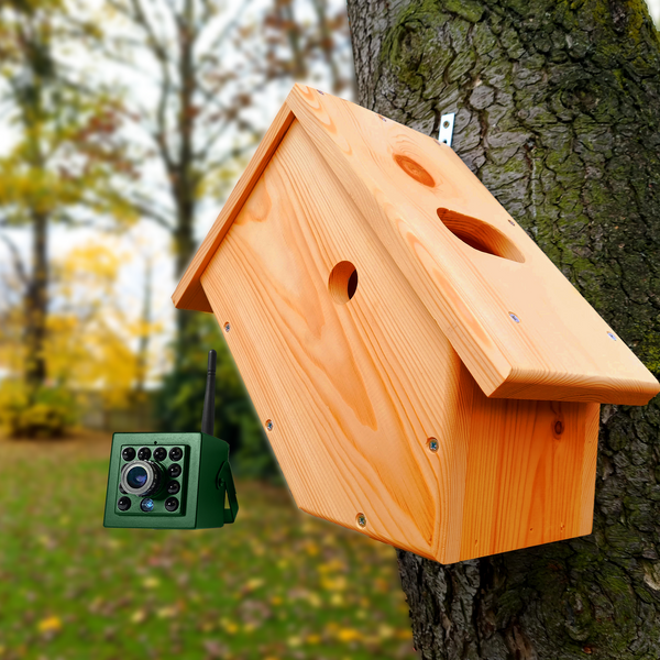Bird's Nest Diy Birdhouse Camera Diy Bird Box Camera Top