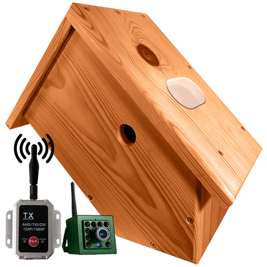Bird Box Cameras