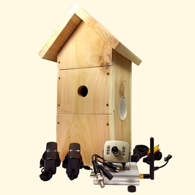 Letterbox Camera Digital Bird Box Camera System (PRO Range) Wireless