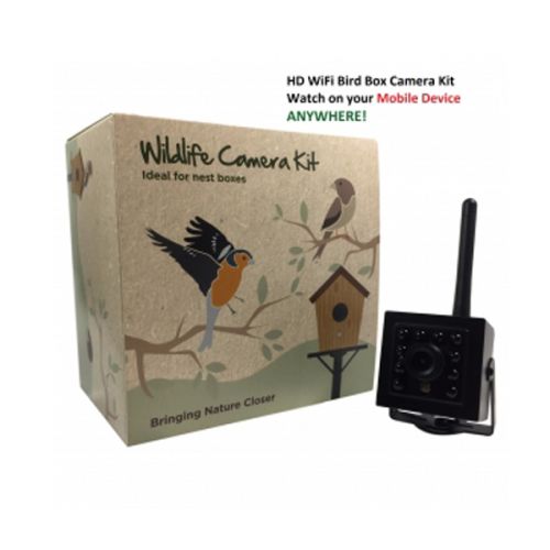 WiFi Bird Box Camera with HD SD Card Recording